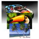 Epson Photo Quality Glossy Paper 8.5