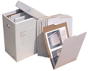AOS VFile Vertical Flat File w/10 VFolders 12