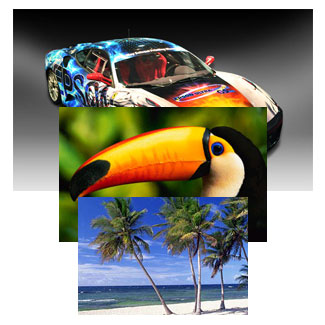 Epson Photo Quality Glossy Paper 8.5